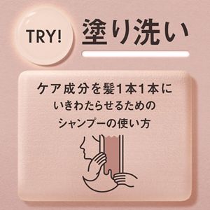 ＴＨＥ　ＡＮＳＷＥＲ　シーズナルケア　ＡＷ　スーパーラメラシャンプー＆ＥＸトリートメント　ペア　４００ｍｌ＆２２０ｇ