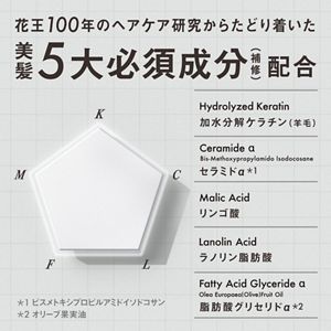 ＴＨＥ　ＡＮＳＷＥＲ　トライアルセット〈お試し3日分〉　シャンプー　×　トリートメント（日常ダメージ）