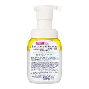 ビオレ　ザフェイス　泡洗顔料　スムースクリア　さわやかミントの香り　本体　２個セット