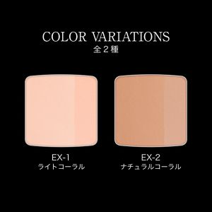 ケイト　３Ｄリメイクプレストパウダー　ＥＸ－２