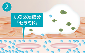 必要成分「セラミド」を残しつつ汚れだけを洗い流すイメージ
