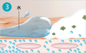 水で流した後の肌がうるおいを保っているイメージ