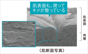 角層のすき間が整い、肌表面のキメまでなめらかに保たれているイメージ