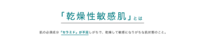 「乾燥性敏感肌」とは肌の必須成分「セラミド」が不足しがちで、乾燥して敏感になりがちな肌状態のこと。
