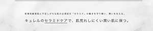 乾燥性敏感肌に不足しがちな肌の必須成分「セラミド」の働きを守り補い、潤いを与える。 キュレルのセラミドケアで、肌荒れしにくい潤い肌に保つ。