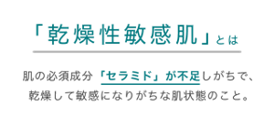 「乾燥性敏感肌」とは肌の必須成分「セラミド」が不足しがちで、乾燥して敏感になりがちな肌状態のこと。