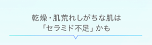 乾燥・肌荒れしがちな肌は「セラミド不足」かも
