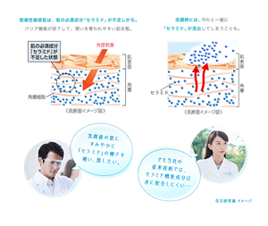 乾燥性敏感肌は、肌の必須成分「セラミド」が不足しがち。 バリア機能が低下して、潤いを奪われやすい肌状態。洗顔時には、汚れと一緒に 「セラミド」が流出してしまうことも。洗顔後の肌に すみやかに 「セラミド」の働きを 補い、潤したい。でも当社の 従来技術では、 セラミド機能成分は 水に配合しにくい…