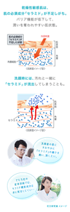 乾燥性敏感肌は、肌の必須成分「セラミド」が不足しがち。 バリア機能が低下して、潤いを奪われやすい肌状態。洗顔時には、汚れと一緒に 「セラミド」が流出してしまうことも。洗顔後の肌に すみやかに 「セラミド」の働きを 補い、潤したい。でも当社の 従来技術では、 セラミド機能成分は 水に配合しにくい…