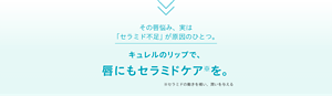 その唇悩み、実は 「セラミド不足」が原因のひとつ。 キュレルのリップで、唇にもセラミドケア※を。※セラミドの働きを補い、潤いを与える