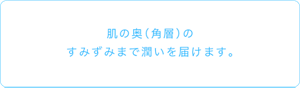 肌の奥（角層）のすみずみまで潤いを届けます。