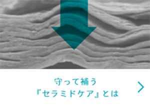 守って補う『セラミドケア』とは