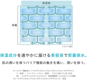保湿成分を速やかに届ける美容液で密着保水。 / 肌の潤いを保つバリア機能の働きを補い、潤いを保つ。 / ＊1 セラミド機能成分、フィトスフィンゴシン、POE水添ヒマシ油、ジステアリルジモニウムクロリドからなるベシクル構造 / ＊2 ヘキサデシロキシPGヒドロキシエチルヘキサデカナミド：保湿