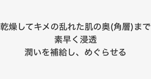 乾燥してキメの乱れた肌の奥(角層)まで 素早く浸透 潤いを補給し、めぐらせる
