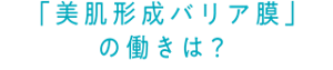 「美肌形成バリア膜」の働きは？
