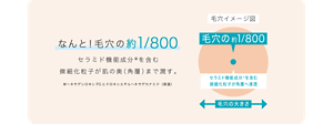 なんと！毛穴の約1/800 のセラミド機能成分※（保湿）を含む 微細化粒子が肌の奥（角層）まで潤す。 ※ヘキサデシロキシPGヒドロキシエチルヘキサデカナミド