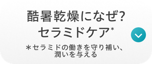 酷暑乾燥になぜ？ セラミドケア＊セラミドの働きを守り補い、潤いを与える
