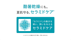 酷暑乾燥にも。夏肌守る、セラミドケア* セラミドケア* 「セラミド」の働きを補い、潤いを与えるセラミドケア * セラミドの働きを守り補い、潤いを与える