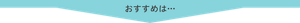 おすすめは
