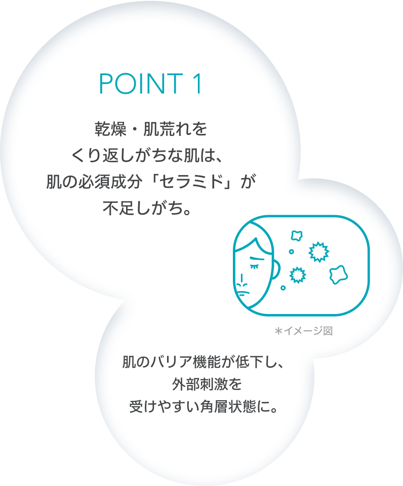 POINT 1　乾燥・肌荒れをくり返しがちな肌は、肌の必須成分「セラミド」が不足しがち。