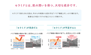 セラミドとは、肌の潤いを保つ、大切な成分です。セラミドで満たされた肌は、外からの刺激から肌を守る「バリア機能」がしっかり働きます。 乾燥などの肌トラブルが起こりにくい状態です。