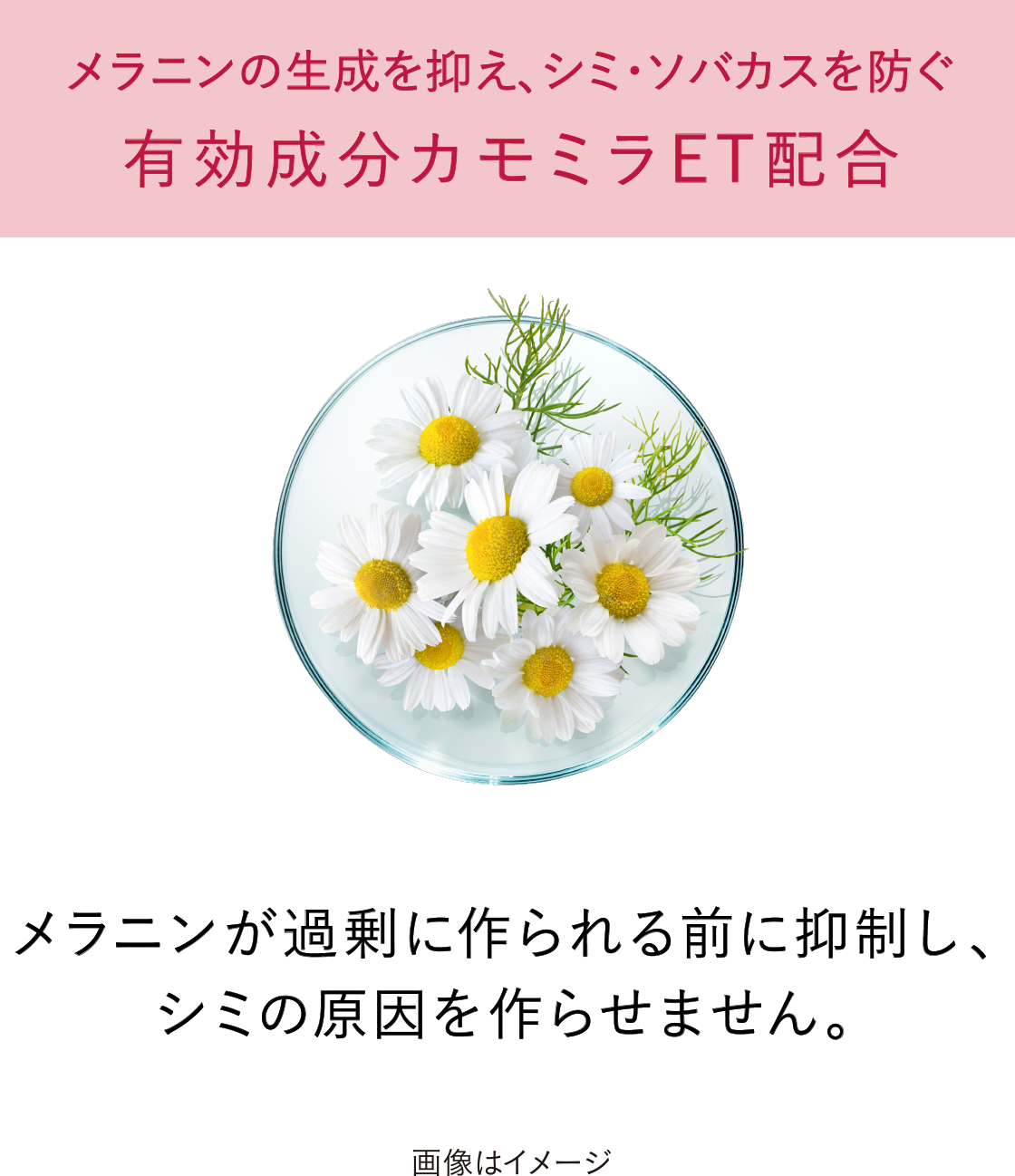 花王 ALBLANC（アルブラン） 商品情報 バイタライジングクリーム