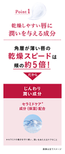 point01_sp_260729
