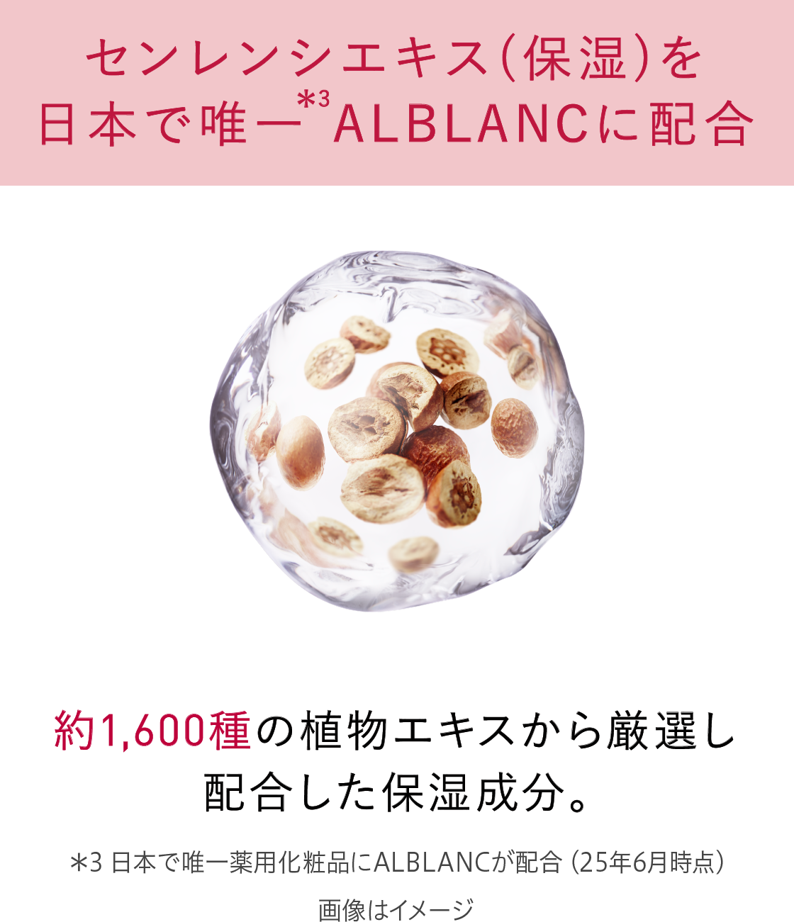 花王 ALBLANC（アルブラン） 商品情報 薬用ファーストエッセンス