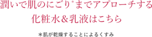 潤いで肌のにごりまでアプローチする 化粧水＆乳液はこちら