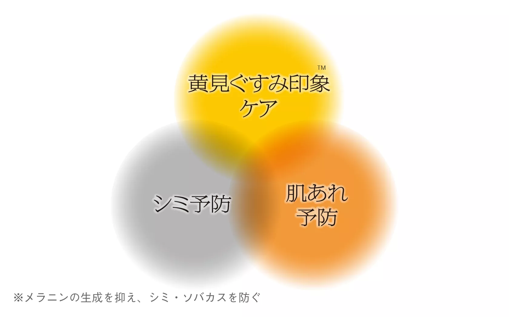 公式】花王 ソフィーナ SOFINA iP 角層トーニングセラム