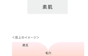 素肌 ＜肌上のイメージ＞ 皮丘 毛穴