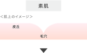 素肌 ＜肌上のイメージ＞ 皮丘 毛穴