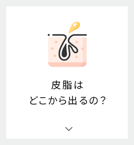 皮脂はどこから出るの？