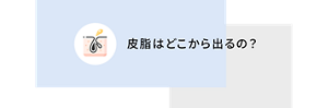 皮脂はどこから出るの？​