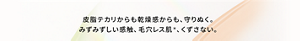 皮脂テカリからも乾燥感からも、守りぬく。 みずみずしい感触、毛穴レス肌＊、くずさない。