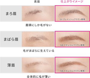 素眉 仕上がりイメージ まろ眉 眉頭にしか毛がない GY グレイッシュブラウン使用 まばら眉 毛がまばらに生えている NB ナチュラルブラウン使用 薄眉 全体的に毛が薄い NB ナチュラルブラウン使用