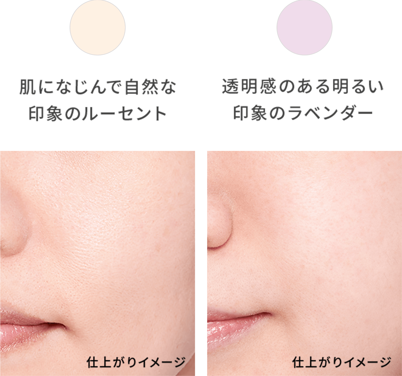 スムースラスティング ルースパウダー（フェイスパウダー）｜プリマ