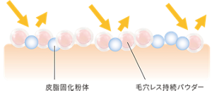 皮脂固化粉体 毛穴レス持続パウダー