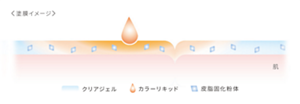 塗膜イメージ クリアジェル カラーリキッド 皮脂固化粉体