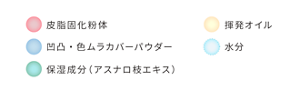 皮脂固化粉体 揮発オイル 凸凹・色ムラカバーパウダー 保湿成分（アスナロ枝エキス） 水分