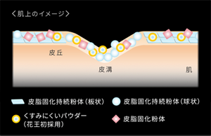 ＜肌上のイメージ＞ 皮脂固化持続粉体（板状） 皮脂固化持続粉体（球状） くすみにくいパウダー （花王初採用） 皮脂固化粉体