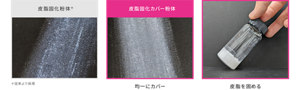 皮脂固化粉体＊ ＊従来より採用 皮脂固化カバー粉体 均一にカバー 皮脂を固める