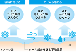 瞬時にひんやり（肌につけた瞬間）と、あとからひんやり（風にあたった時・汗をかいた時）を感じるクール成分入り下地の仕組みを示したイメージ図。