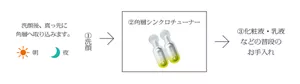 ①洗顔　朝晩の洗顔後、真っ先に角層に取り込みます。②角層シンクロチューナー③化粧液・乳液などの普段のお手入れ