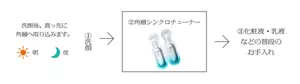 ①洗顔　朝晩の洗顔後、真っ先に角層に取り込みます。②角層シンクロチューナー③化粧液・乳液などの普段のお手入れ