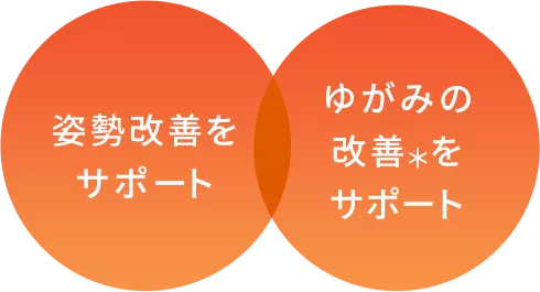 姿勢改善をサポート ゆがみの改善＊をサポート