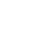 TYPE 3