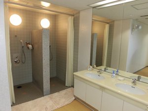 shower2