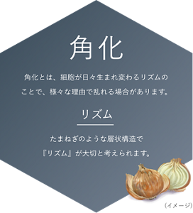 角化 角化とは、細胞が日々生まれ変わるリズムのことで、様々な理由で乱れる場合があります。 リズム たまねぎのような層状構造で 『リズム』が大切と考えられます。