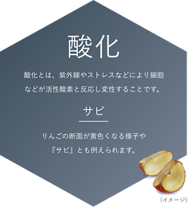  酸化 酸化とは、紫外線やストレスなどにより細胞などが活性酸素と反応し変性することです。 サビ りんごの断面が黄色くなる様子や 『サビ』とも例えられます。